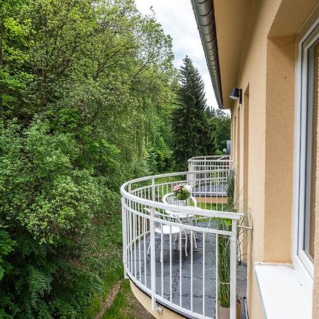 Forest Apartment With Sauna Jachymov Bagian luar foto